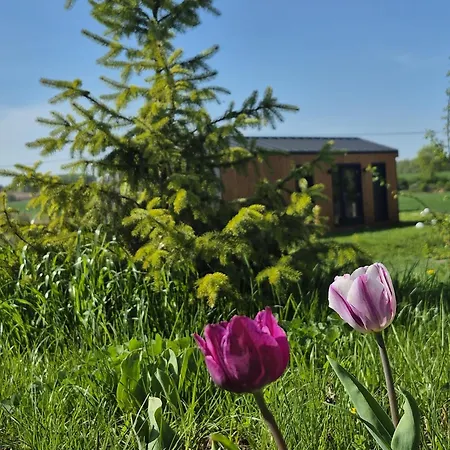 Cichy Brzeg Mazurski